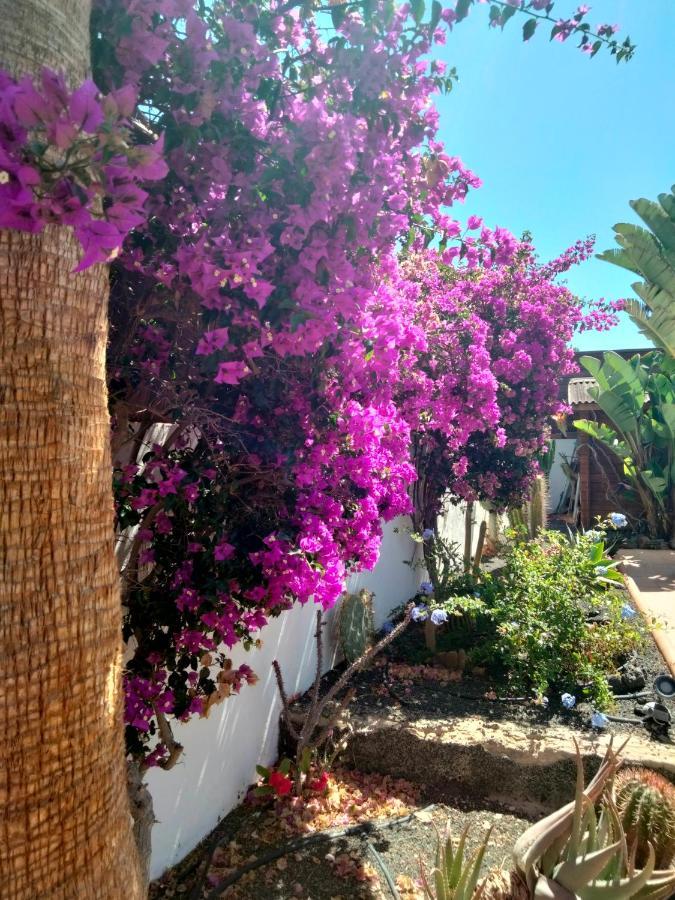Villa Rosa Meravigliosa Con Piscina Interna Corralejo Buitenkant foto